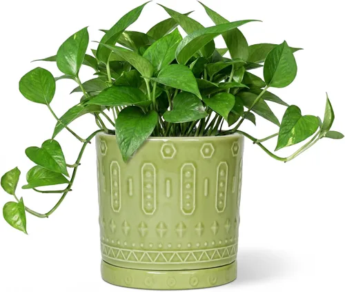Miniatura 25 de Maceta de Cerámica Eightpot - Maceta de 20 cm para Interior con Agujeros de Drenaje y Platillo, Maceta Redonda para Exterior, Maceta Moderna de Azul