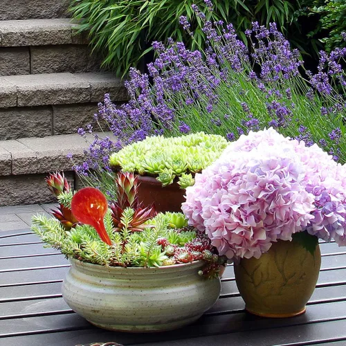 Miniatura 9 de Evelots Globos de riego de plantas (paquete de 3) - Vidrio soplado a mano - Sistema automático de riego de agua - Interior/exterior - Deja tu hogar