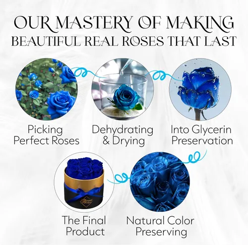 Miniatura 7 de GLAMOUR BOUTIQUE Rosas eternas preservadas en una caja, flores para siempre, rosa para siempre en una caja para esposa o ella, regalo de flores Azul