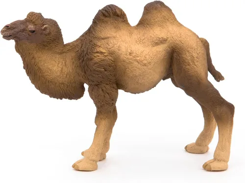 Miniatura 10 de Papo - Figura realista de camello bactriano para niños - A partir de 3 años - Colección Wild Life - Animales exóticos educativos - Juguete de idea