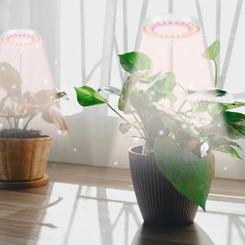 Miniatura 3 de GooingTop Luz LED de Crecimiento, Lámpara de Planta Halo para Plantas de Interior en Crecimiento, Luz Blanca Baja para Suculentas y Plantas Pequeñas