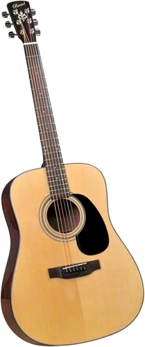 Miniatura 12 de Bristol por Blueridge BL-140/160 Series