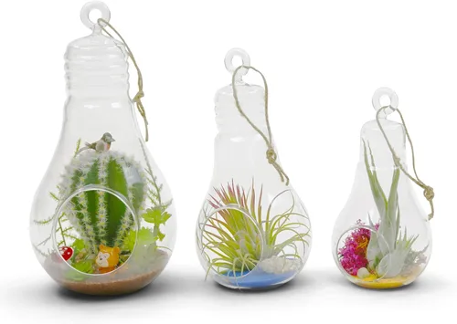 Miniatura 7 de WGV - Terrario de cristal colgante para plantas, ancho de 3 pulgadas, altura de 6 pulgadas, bombilla de aire para suculentas, jarrón transparente