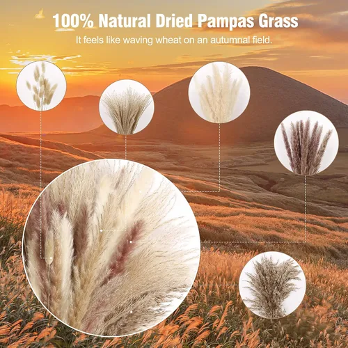 Miniatura 3 de N&T NETING - Decoración de hierba de pampa seca, hierba de pampa blanca, pampa marrón, cola de conejo, caña, flores de hierba de pompas secas