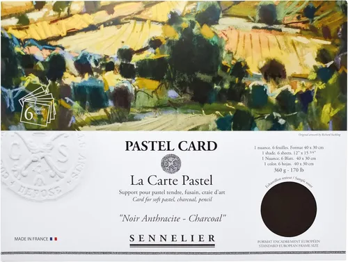 Miniatura 5 de SENNELIER La Carte - Pochette de tarjeta pastel, 15.75 x 11 pulgadas, gris claro monocromático