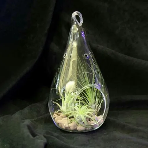 Miniatura 7 de HANABASS 2 piezas de globos de cristal colgantes en forma de lágrima portavelas para plantas, terrario, orbes de aire, Tillandsia, suculentas