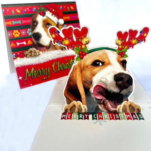 Miniatura 43 de Tarjeta de cumpleaños de perro Beagle 3D emergente – Felicitación de feliz cumpleaños para los amantes de los perros – Tarjeta desplegable