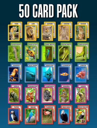 Miniatura 5 de SMART CARDS Animales Juego de cartas 7 juegos en 1 Snap, Rummy, pares y más Juego educativo de viaje A partir de 5 años, 1-8 jugadores