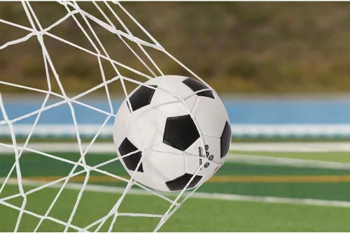 Miniatura 4 de Soccer Net TOPINCN - Redes deportivas de repuesto para Lacrosse y fútbol (6 x 4 pies, 8 x 6 pies, 12 x 6 pies, 24 x 8 pies) (8 x 6 pies)