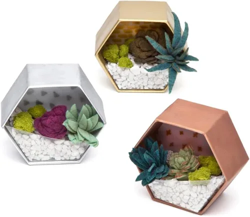 Miniatura 3 de Craft Crush — Mini Plantas Terrarios Fácil Divertido Kit de Artes y Manualidades — ¡Haz 3 Encantadores Terrarios Falsos! — Para Edades de 13 años
