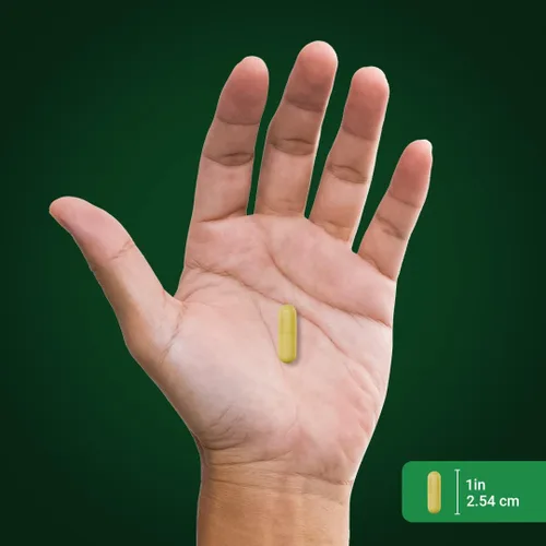 Miniatura 6 de Piping Rock Berberine HCI Ceylon Cinnamon Complex 120 cápsulas Suplemento de extracto de hierbas Fórmula vegetariana, sin OMG y sin gluten