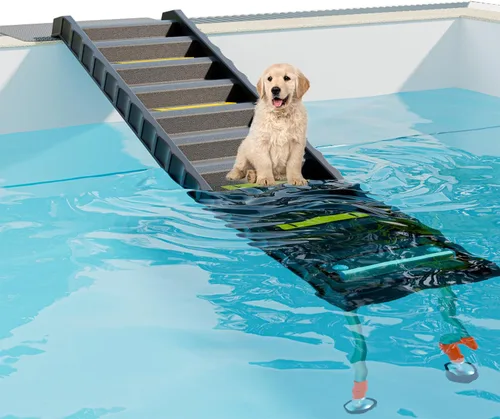 Rampa plegable para piscina para perros con patas de 33 pulgadas para ajuste de altura libre, rampa de agua segura y de fácil acceso para perros