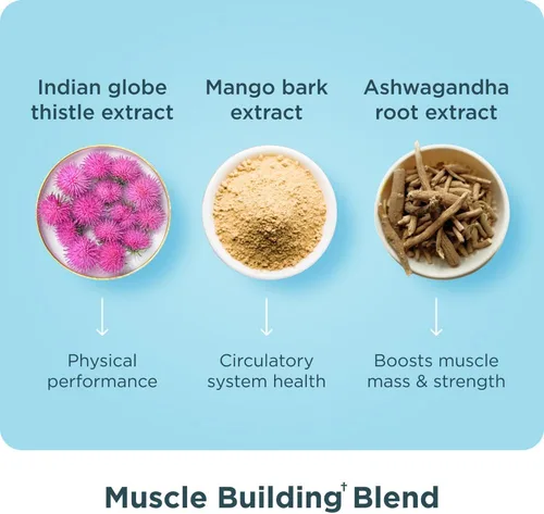 Miniatura 6 de Ancient Nutrition Advanced Multi Collagen Protein Cápsulas Musculares, 90
