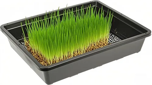 Miniatura 8 de SINJEUN Paquete de 15 bandejas de malla para principiantes, bandeja de plástico de 15 x 12 pulgadas, bandejas de germinación de plantas de malla