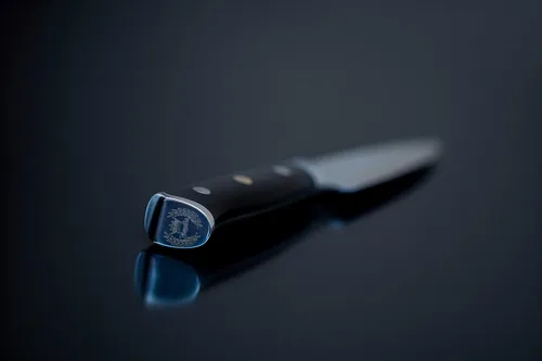 Miniatura 3 de Regalia Cuchillo de parrilla (de servicio) de 3.5 pulgadas: cuchillos de utilidad para pelar de acero inoxidable damasceno de alta carbono de 67