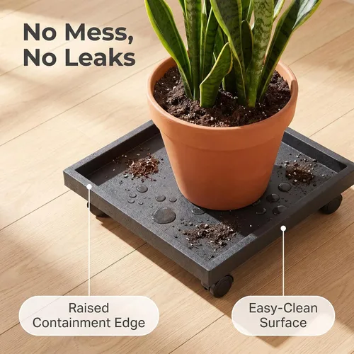 Miniatura 2 de Plato Cuadrado Rodante para Plantas de 9.8 Pulgadas con Ruedas, Soporte con Ruedas de Servicio Pesado para Plantas en Maceta, Bandeja Base Rodante