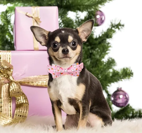 Miniatura 4 de Unique style paws Collar de Pascua para perro con pajarita de conejo y zanahoria para cachorros pequeños, medianos y grandes, S
