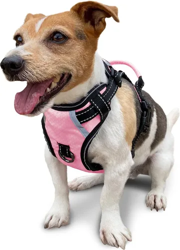 Miniatura 19 de Arnés antitirones para perro pequeño con 2 hebillas de liberación rápida y mango de fácil control, chaleco suave reflectante sin estrangulamiento