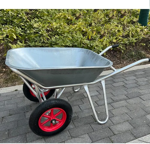 Miniatura 7 de Etlegor Carretilla agrícola, Carretilla galvanizada 2 neumáticos Carretilla volquete perfecto para transportar arena, suciedad, residuos de jardín