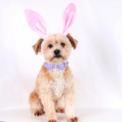 Miniatura 5 de MR. CHUBBYFACE· Collar de Pascua para perro de conejo con lazo, collar ajustable para mascotas con corbatín para perros pequeños, medianos y grandes