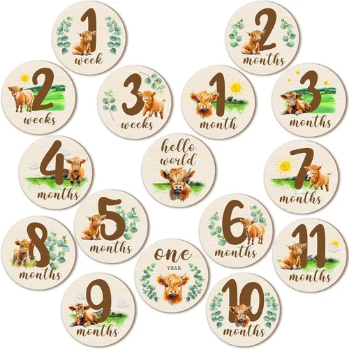Tiamon 16 tarjetas mensuales de madera para bebé, discos de marcador de hitos mensuales, círculos de madera de doble cara, letreros de meses para