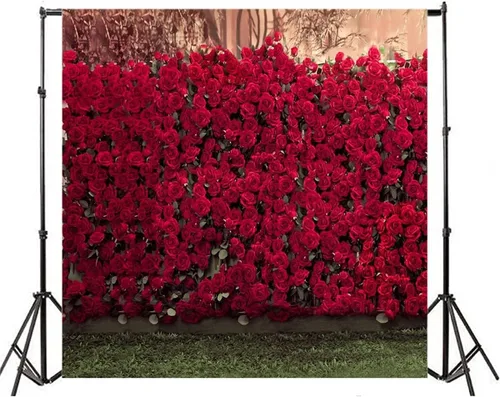 Miniatura 6 de AOFOTO Fondo de fotografía infantil de 5 x 7 pies para sesión de fotos para niños, romance, rosas rojas, flores, pared, suelos de hierba borrosa