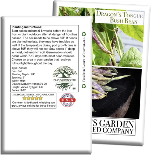 Miniatura 7 de Semillas de frijol Dragon's Tongue Bush (Dragon Langerie) – Más de 25 semillas sin OMG y reliquias, Phaseolus vulgaris, cápsulas de crema coloridas