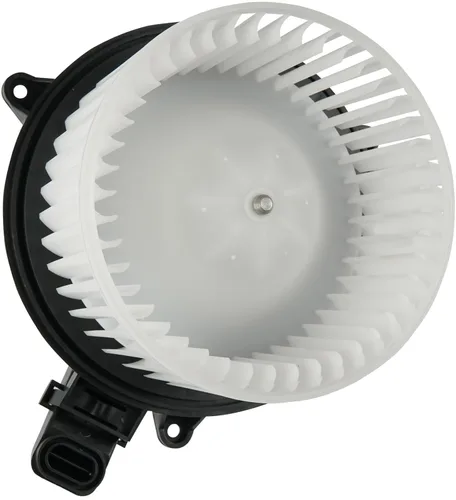 Motor del ventilador del calentador AC HVAC con jaula de ventilador Compatible con Ford F150, Ford Lobo 2009-2014, Ford Expedition 2009-2017,