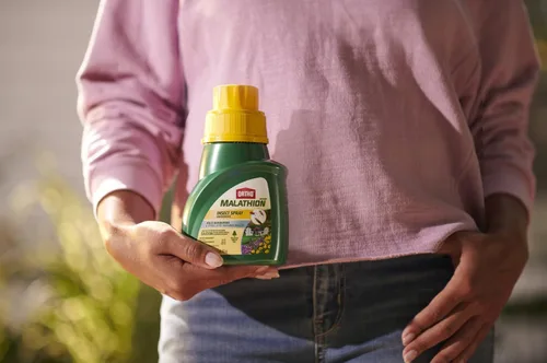 Miniatura 6 de Ortho MAX Malathion Repelente de Insectos en Aerosol Concentrado, 16 oz.