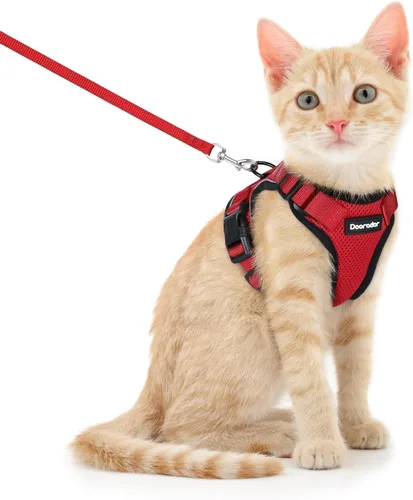Miniatura 13 de Dooradar Juego de arnés y correa para gato, chaleco ajustable seguro a prueba de escapes, para caminar, chaqueta de malla suave y transpirable
