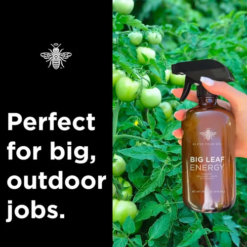 Miniatura 6 de Big Leaf Energy, Concentrado de Aceite de Neem + Aceites Esenciales para Plantas y Cuidado de Hojas - Orgánico, Sin OGM, Listo para Mezclar