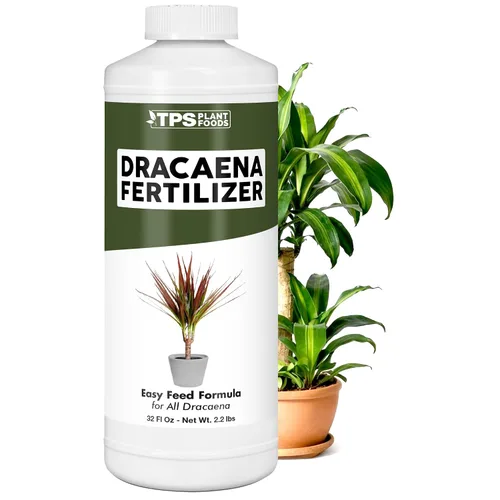 Miniatura 9 de Dracaena Fertilizante - Alimento líquido vegetal para hojas verdes ricas y crecimiento fuerte de la caña, 8 onzas