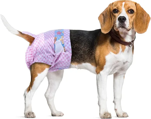 Miniatura 8 de Pañales Desechables para Perras, Pañales para Cachorros con Cintura Elástica Ajustable para Perras o Gatas en Celo, Incontinencia, Pañal