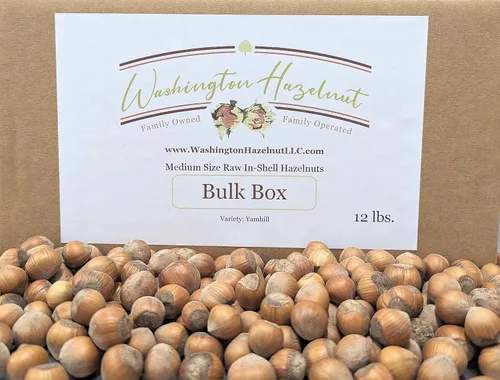 Miniatura 7 de Avellanas en cáscara, cultivadas en el huerto de nuestra familia en el estado de Washington (crudo, 8 libras)