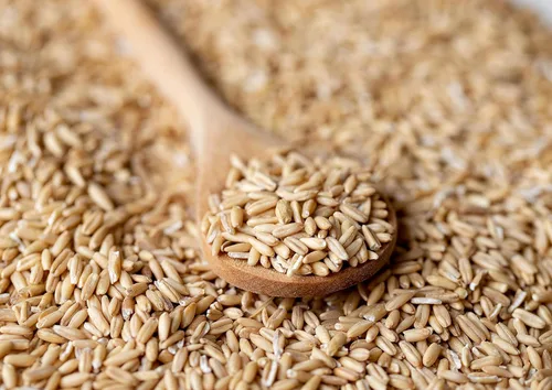 Miniatura 5 de Food to Live Granos de avena integrales: bayas de avena a granel. Semillas kosher sin cáscara, ricas en proteínas, fibra soluble. Adecuado
