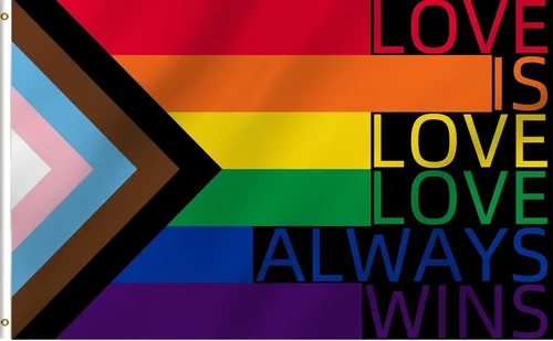 ChillOutPal Bandera del orgullo del progreso de 3 x 5 pies, LGBTQIA+ bandera de jardín impermeable de poliéster con colores vibrantes para desfiles