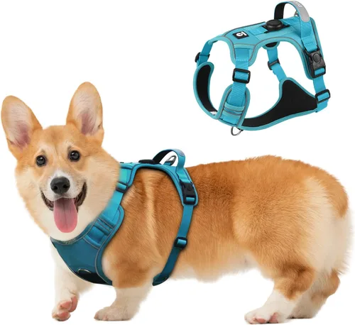 Miniatura 15 de Arnés para perro, chaleco ajustable mejorado a prueba de escapes, para caminar al aire libre, chaqueta suave y transpirable con tiras reflectantes
