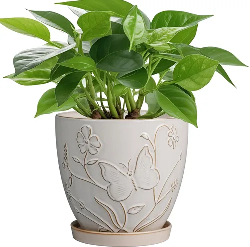 Miniatura 21 de MPotTo Maceta de 6.9 pulgadas con orificio de drenaje y platillo de cerámica para plantas de interior, maceta para orquídeas y suculentas