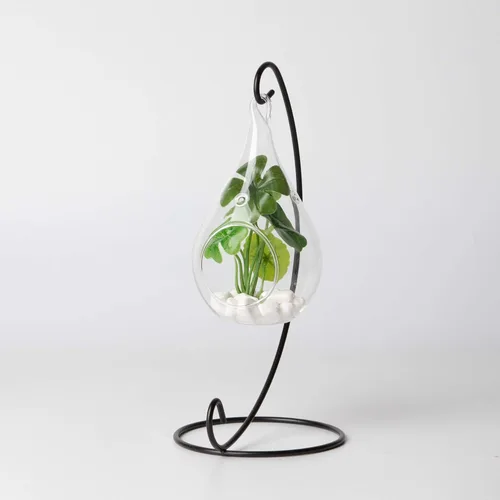 Miniatura 6 de WGV - Planta colgante de vidrio terrario a granel, ancho de 3 pulgadas, altura 5.5 pulgadas, lágrima de bricolaje, maceta de aire para suculentas