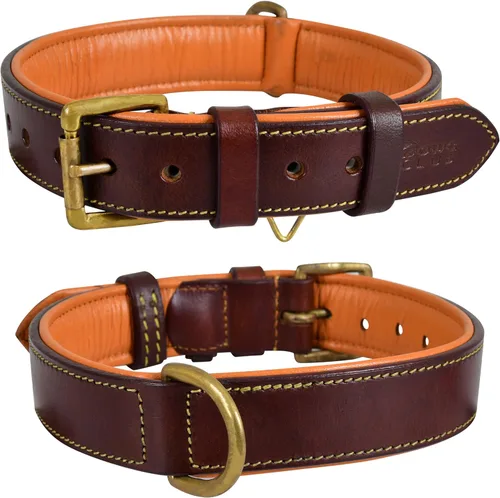 Collar de perro de cuero para perros medianos, marrón, 1 pulgada de ancho, cuero genuino de grano completo, resistente con acolchado interior suave,