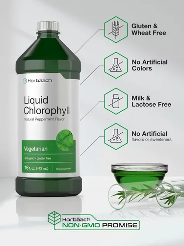 Miniatura 5 de Horbäach Clorofila líquida 100 mg 32 onzas líquidas (2 botellas de 16 onzas líquidas) Gotas naturales con sabor a menta Fórmula