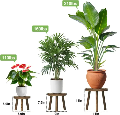 Miniatura 3 de Paquete de 3 soportes para plantas de interior y exterior, estilo moderno de mediados del siglo, taburete para plantas de madera, porta macetas