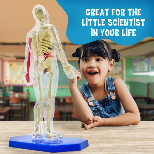Miniatura 5 de Thames & Kosmos Ooze Labs: Cuerpo humano visible con órganos blandos