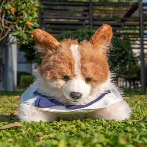 Chongker Peluche de animales de peluche, animales realistas, juguete realista, perro corgi
