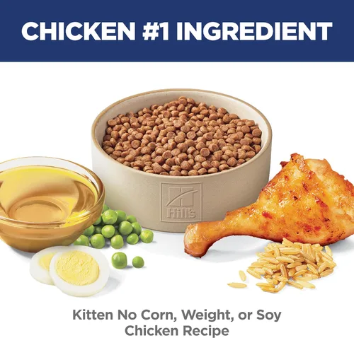 Miniatura 4 de Hill's Science Diet Kitten, Nutrición Premium para Gatito, Comida Seca para Gato, Sin Maíz, Trigo, Soja, Sabor Pollo y Arroz Integral, Bolsa de 6 lb