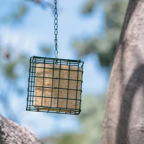 Miniatura 7 de MEKKAPRO Suet - Comedero para pájaros salvajes con cadena de metal colgante, doble delight con cadena de metal, doble capacidad, resistente a