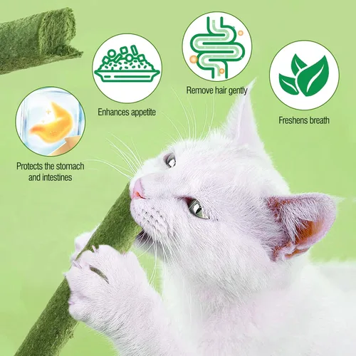 Miniatura 3 de Palillo de dentición de hierba para gatos, palo de hierba de gato enlatado para gatos de interior, gatos trata alivio de bolas de pelo y limpieza