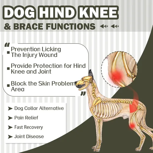 Miniatura 3 de ROZKITCH Manga para Perro para Patas Traseras, Manga para Mascotas para Evitar que el Perro Lame Heridas, Protector de Codo, Traje de Recuperación