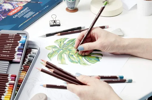 Miniatura 2 de Derwent Lápices de colores, lápices ColourSoft, Skintone, dibujo, arte, lata de metal, 6 unidades (2300217)