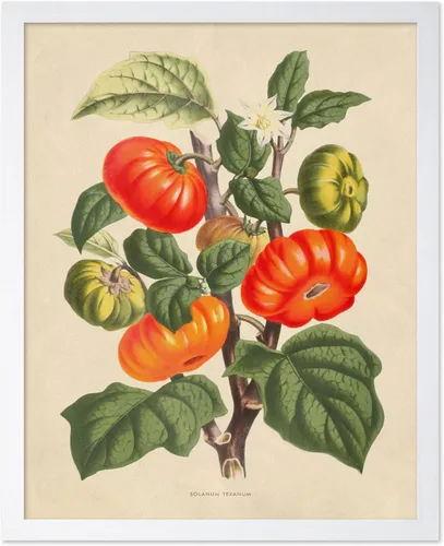 Miniatura 29 de Poster Master Póster Vintage de Plantas Cultivadas - Impresión Botánica Retro - Arte de Flores - Arte de Plantas - Regalo para Hombres y Mujeres